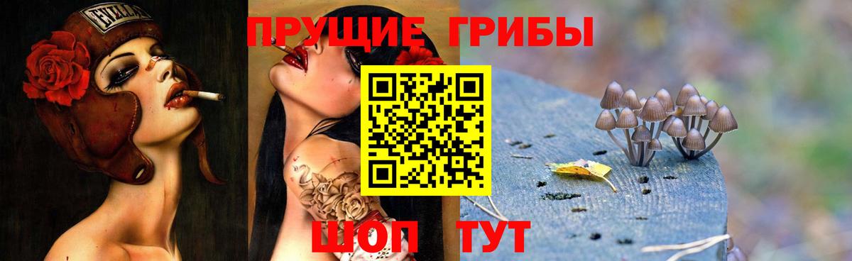 Псилоцибиновые грибы Cubensis Камышлов