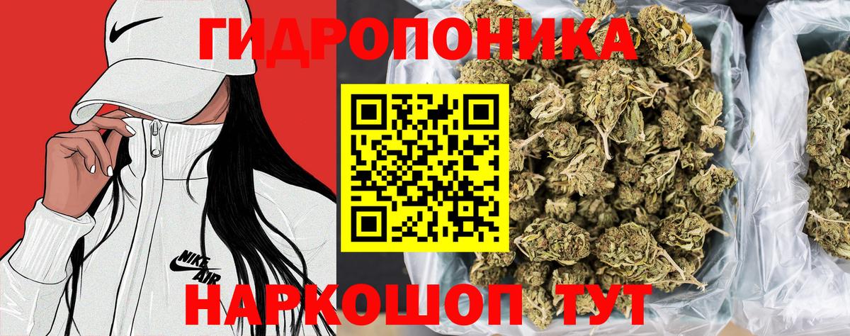 Камышлов  Бошки Шишки тримм  Вход с VPN  Каннабис LSD WEED  Конопля AK-47 